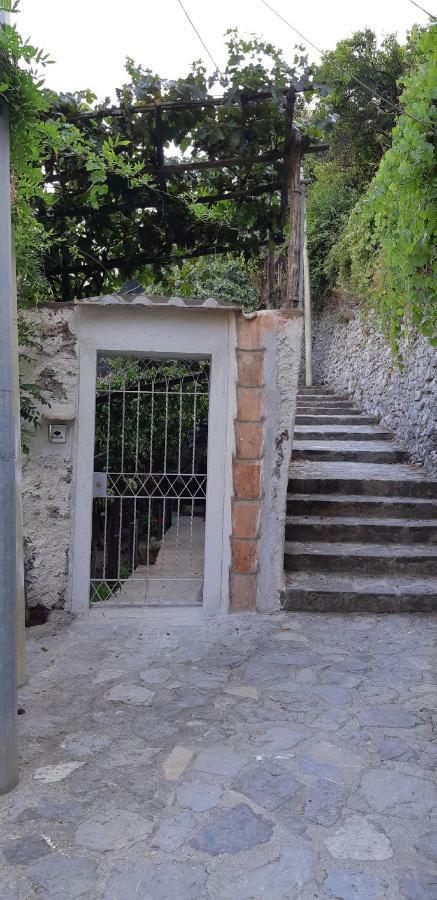 Vila #La Limonaia Della Torretta Minori Exteriér fotografie